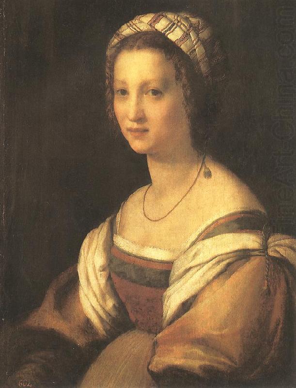 Andrea del Sarto Portrait of the Artist's Wife china oil painting image